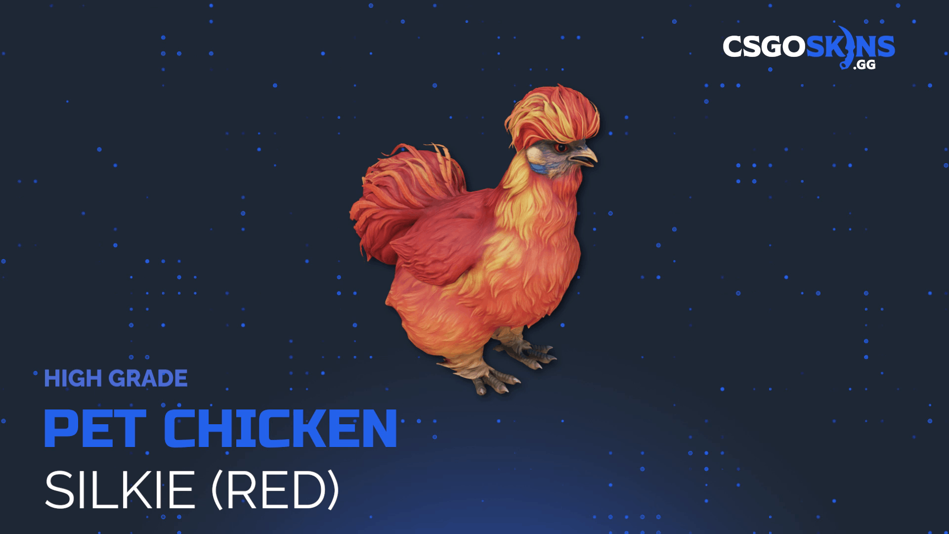 Pet Chicken | Silkie (Red) Gameplay Showcase