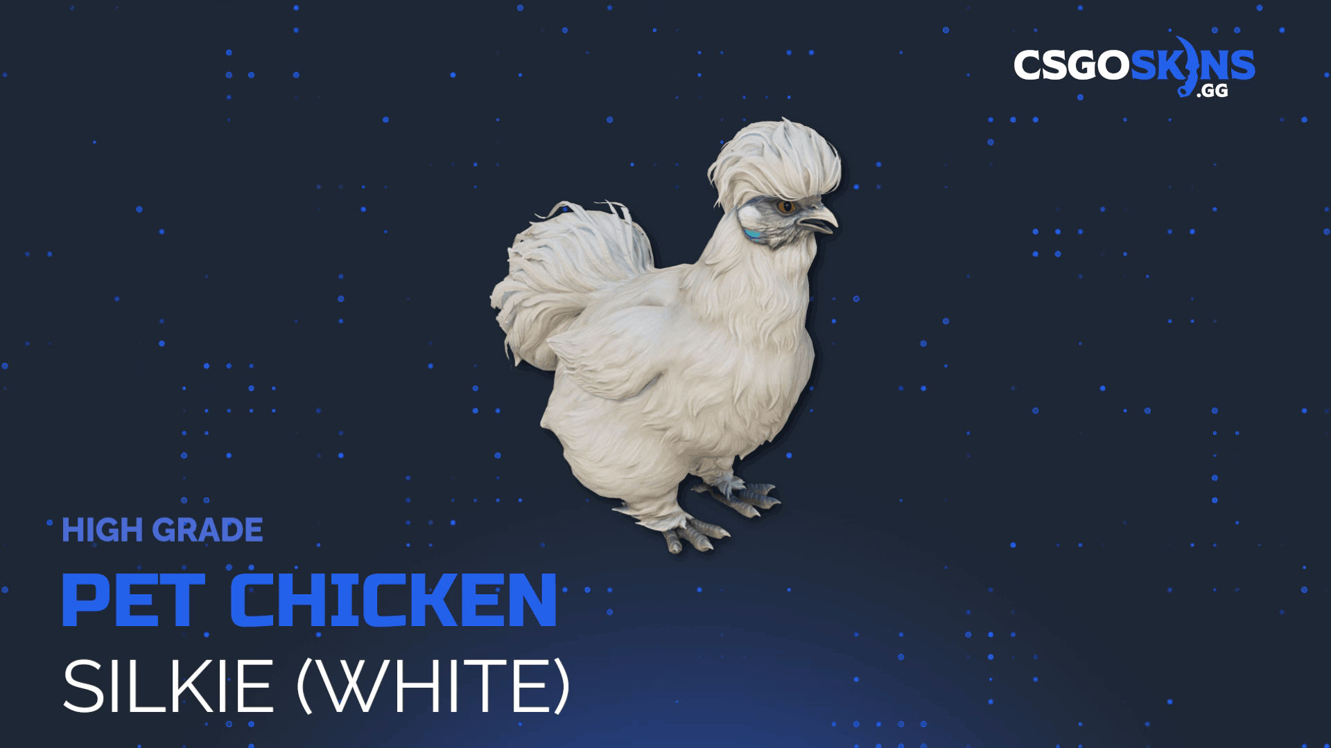 Pet Chicken | Silkie (White) Gameplay Showcase