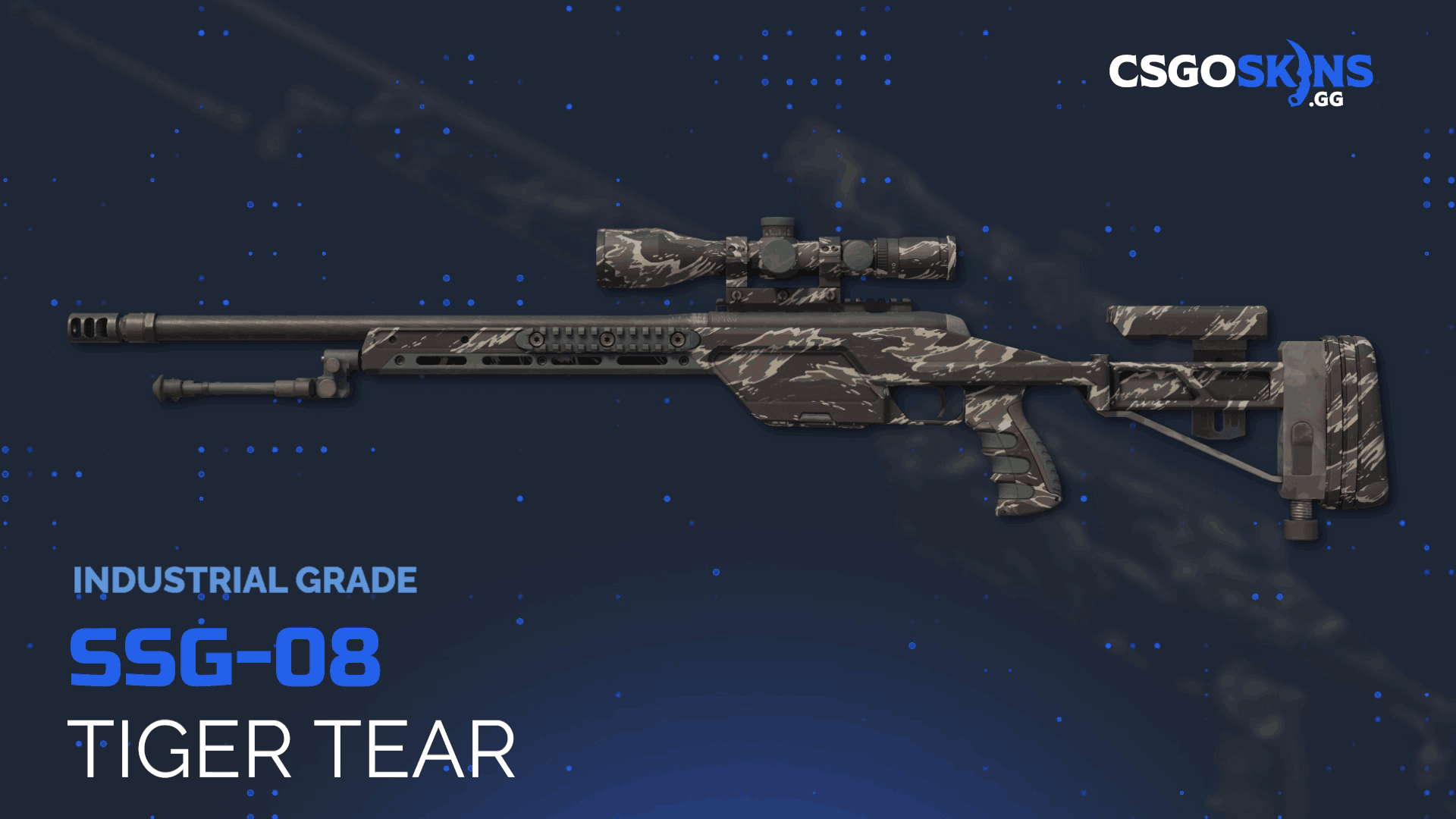 SSG 08 | Tiger Tear Gameplay Showcase