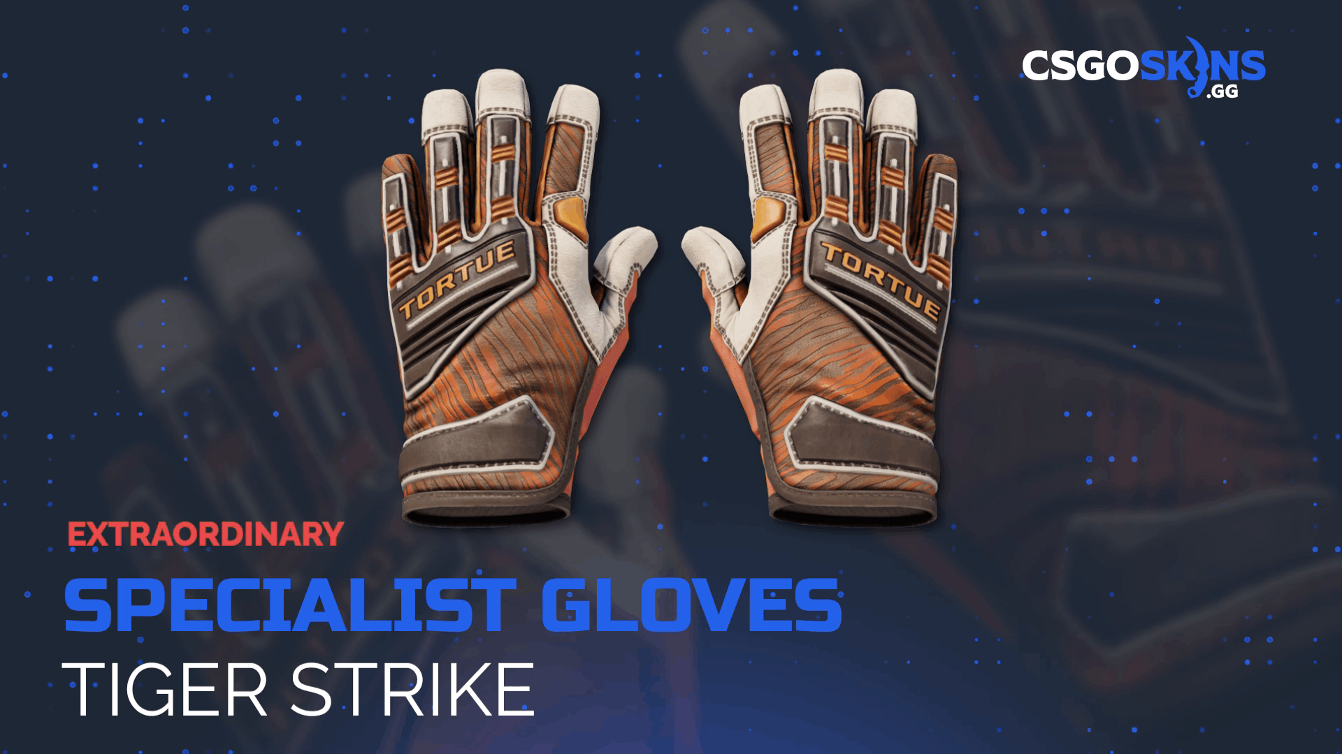 ★ Specialist Gloves | Tiger Strike Gameplay Showcase