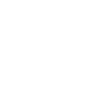 Austin 2025 Stickers