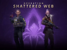 Operation Shattered Web